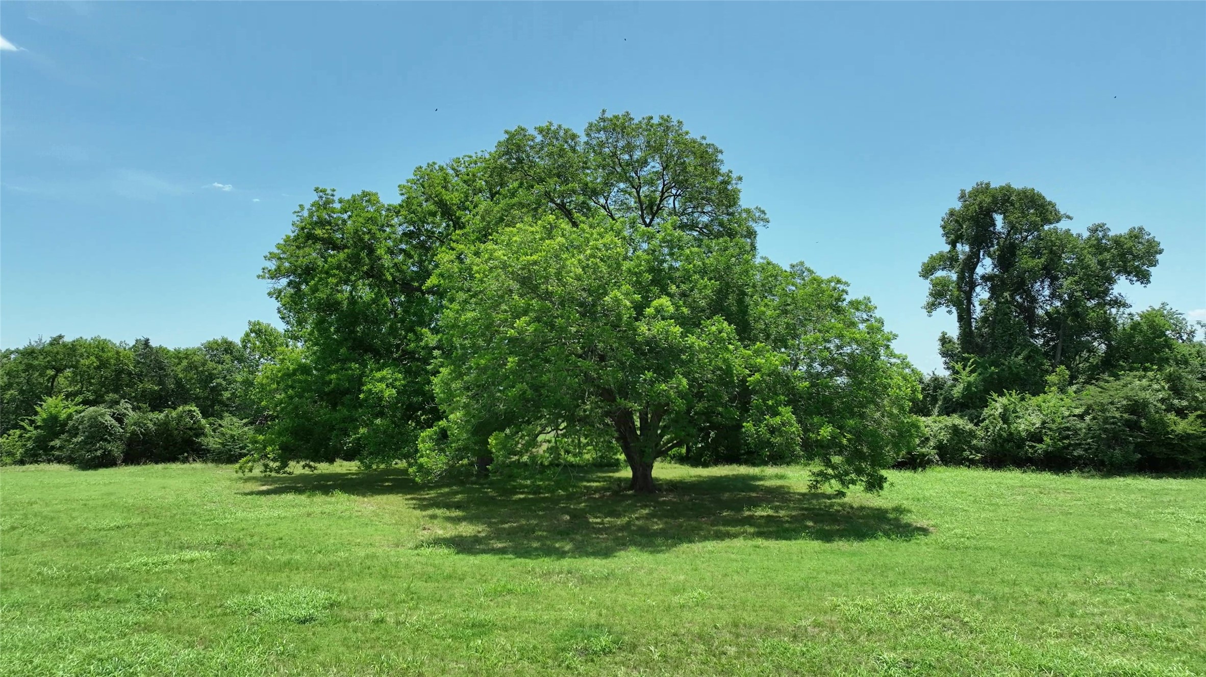 000 Clay Creek Road Property Photo 21