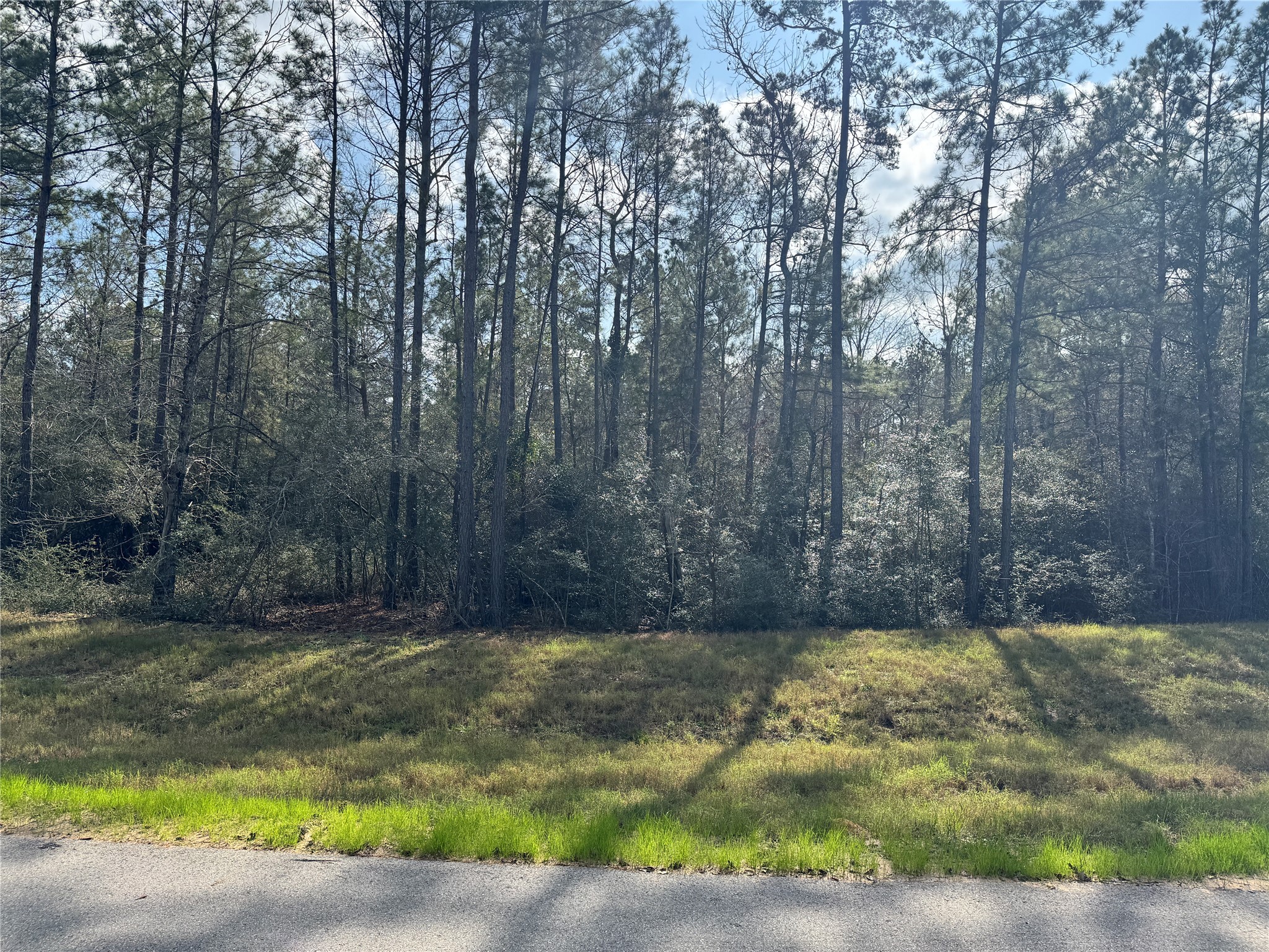 10545 Link Tree Lane Property Photo 7