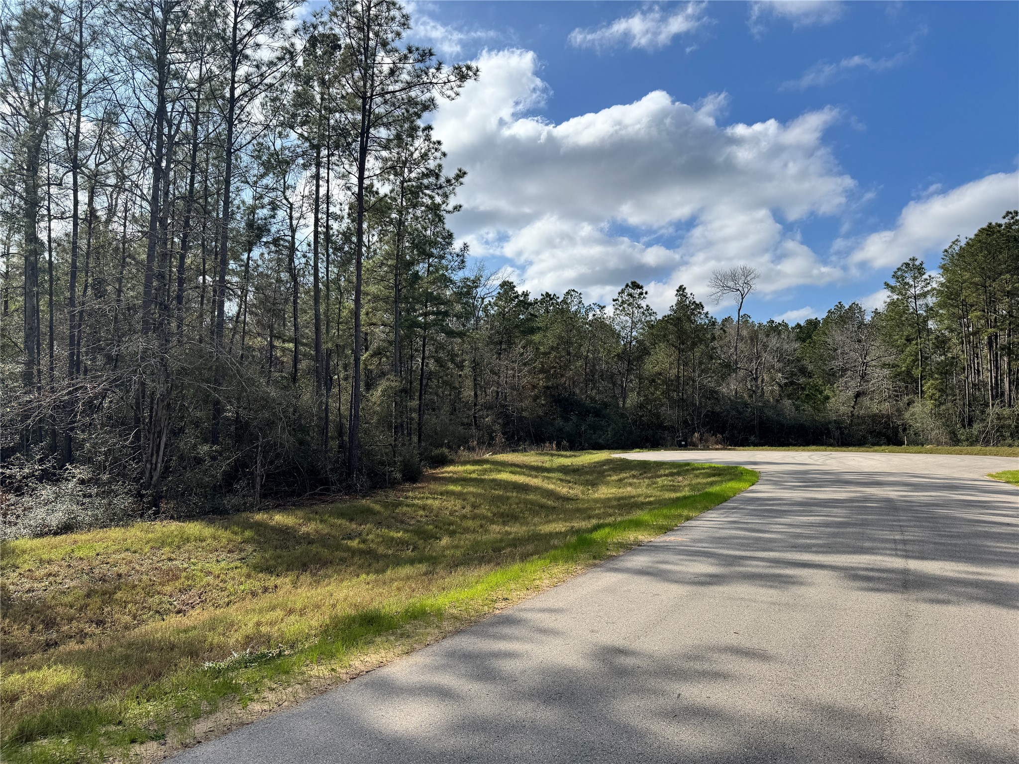 10545 Link Tree Lane Property Photo 8