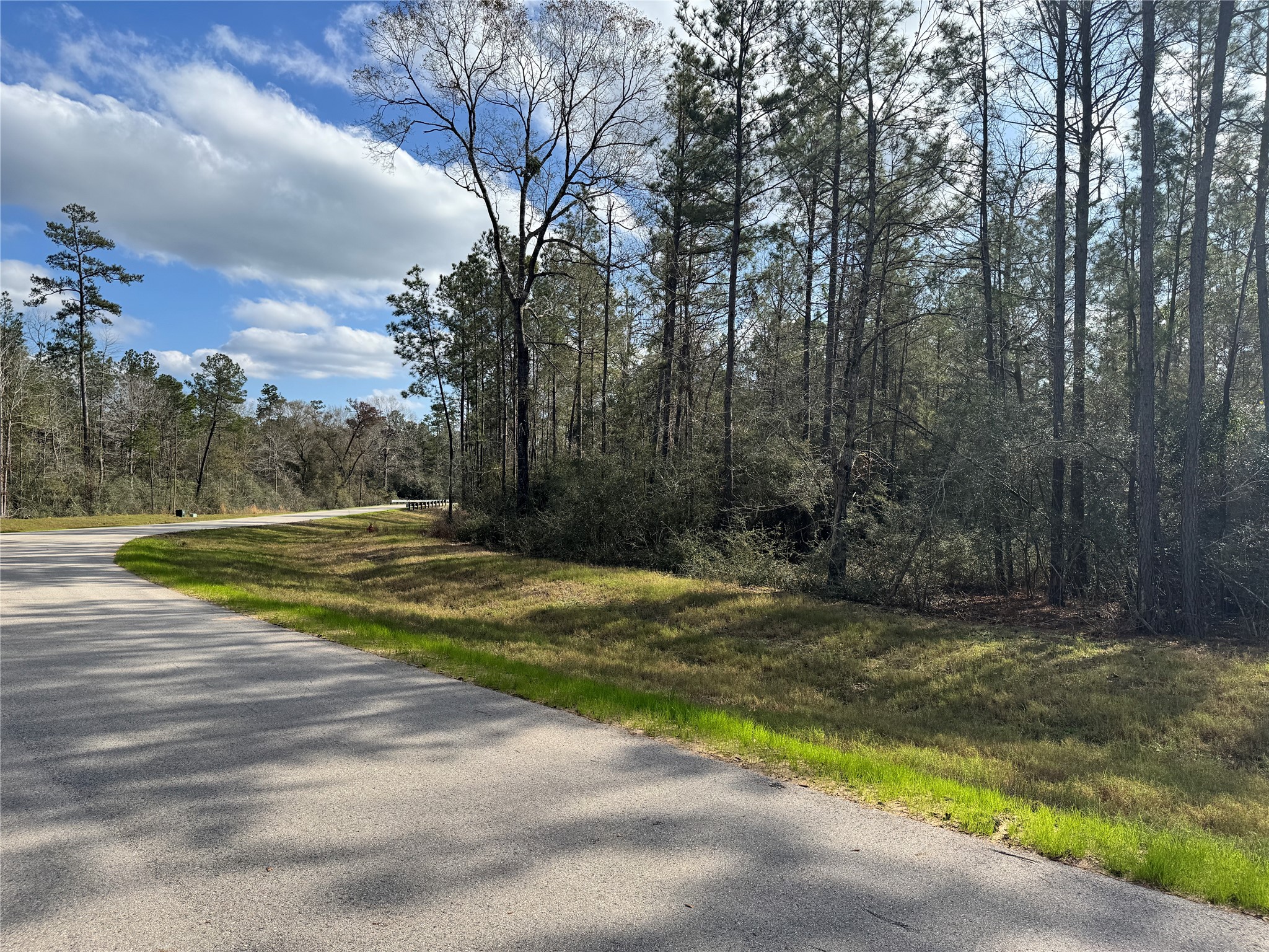 10545 Link Tree Lane Property Photo 9