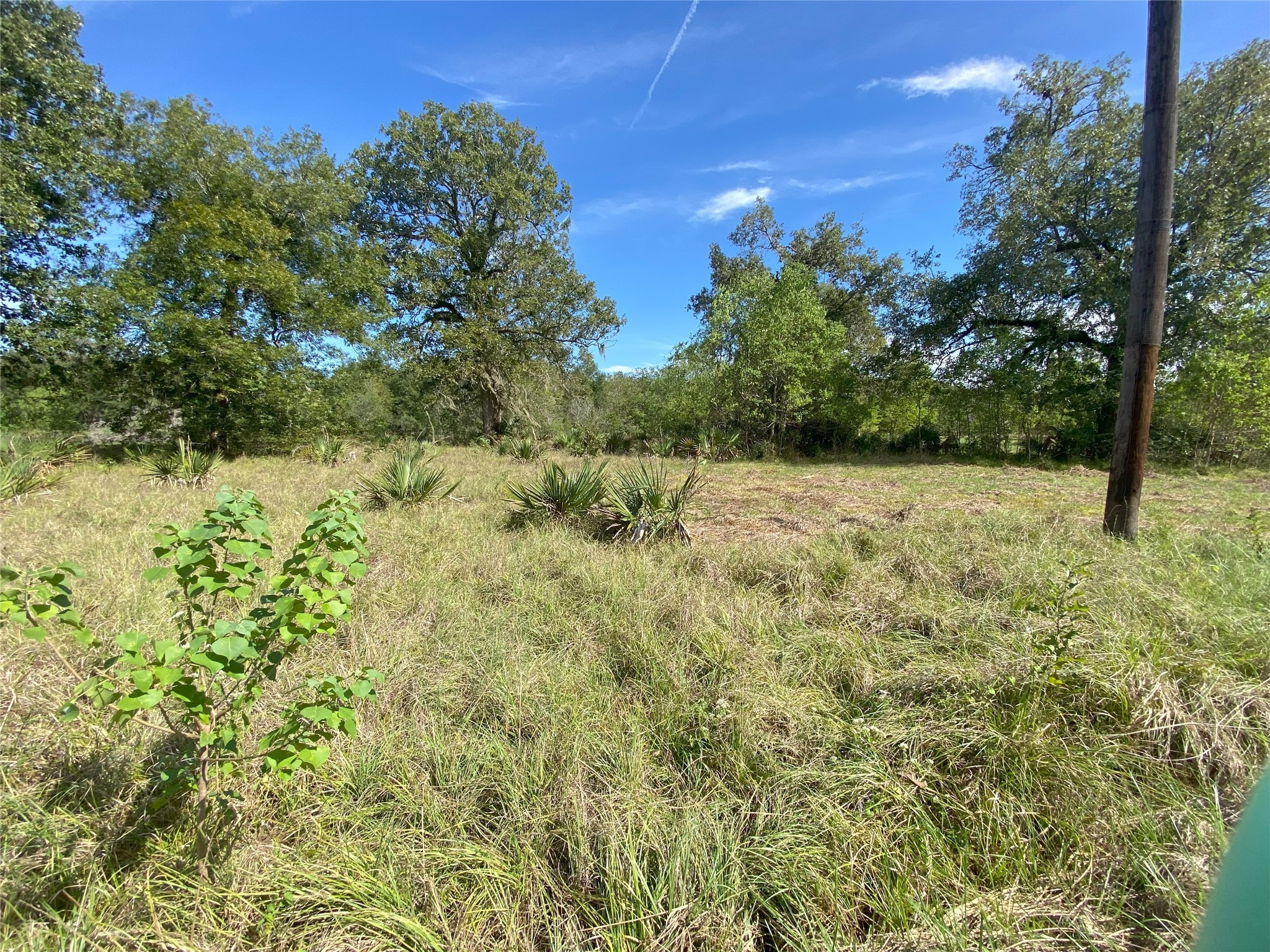Tbd Sour Lake Cir Property Photo 2