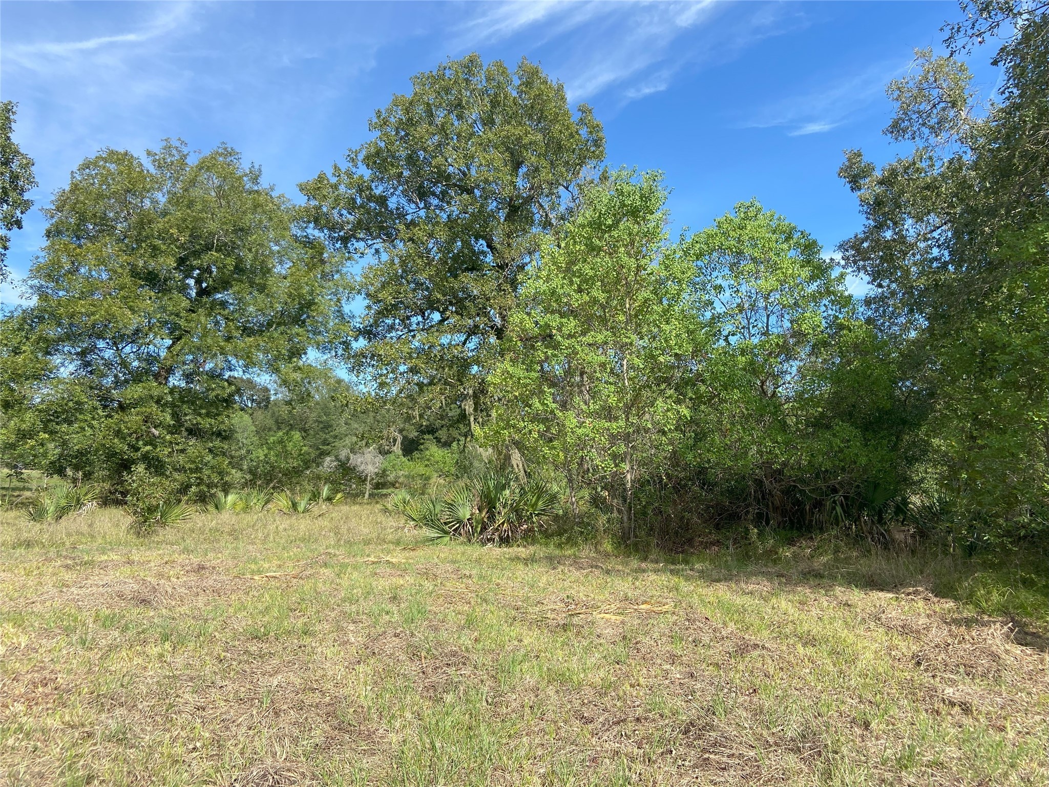 Tbd Sour Lake Cir Property Photo 3