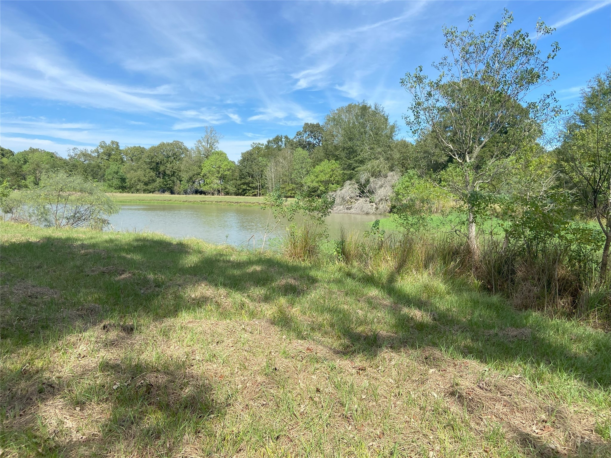 Tbd Sour Lake Cir Property Photo 4
