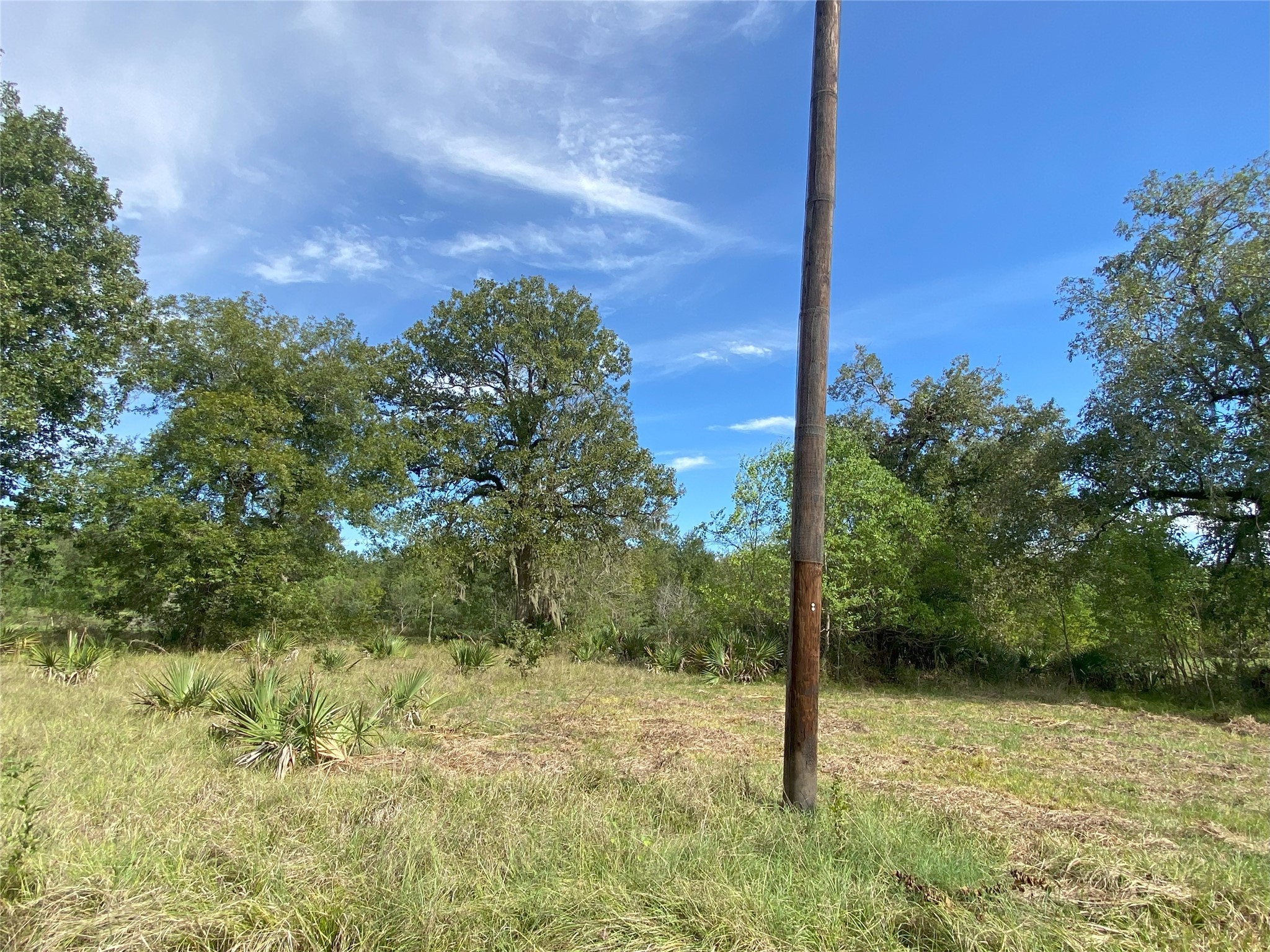 Tbd Sour Lake Cir Property Photo 6