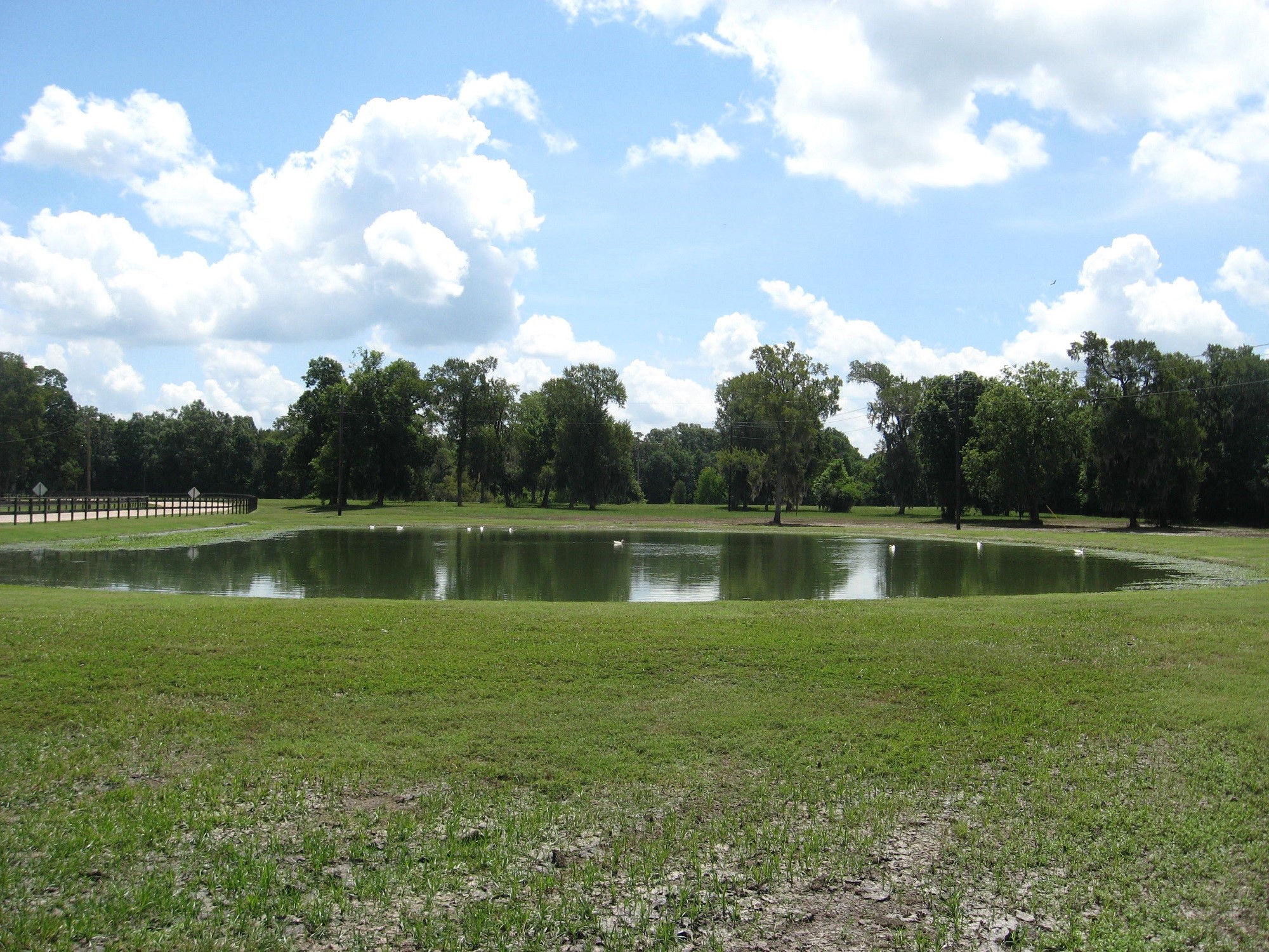 Tbd Sour Lake Cir Property Photo 9