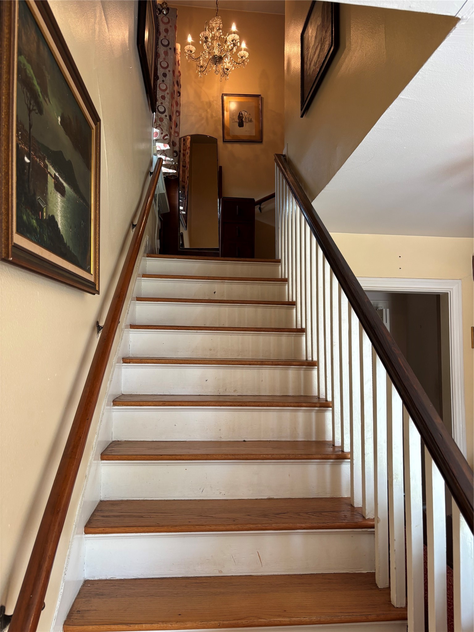 3229 Binz Street Property Photo 5