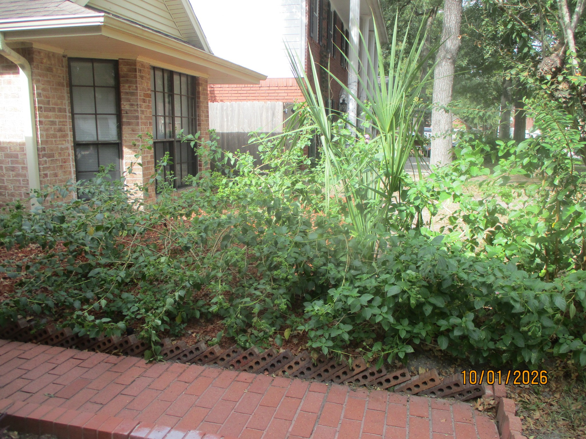 25 Dover Drive Property Photo 8