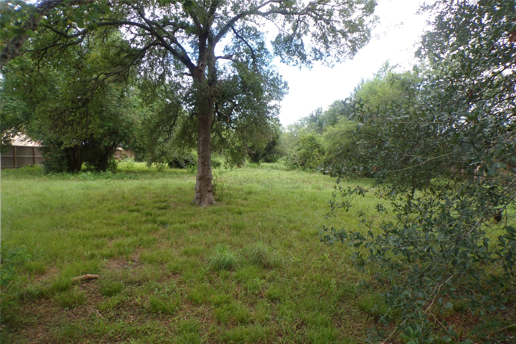 1008 Brooks Avenue Property Photo 12