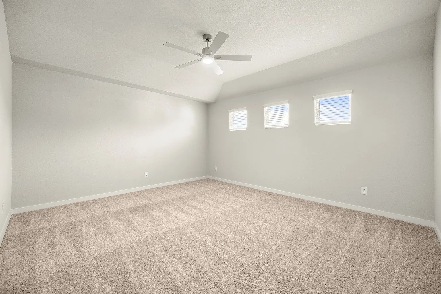 3018 Native Spring Drive Property Photo 19