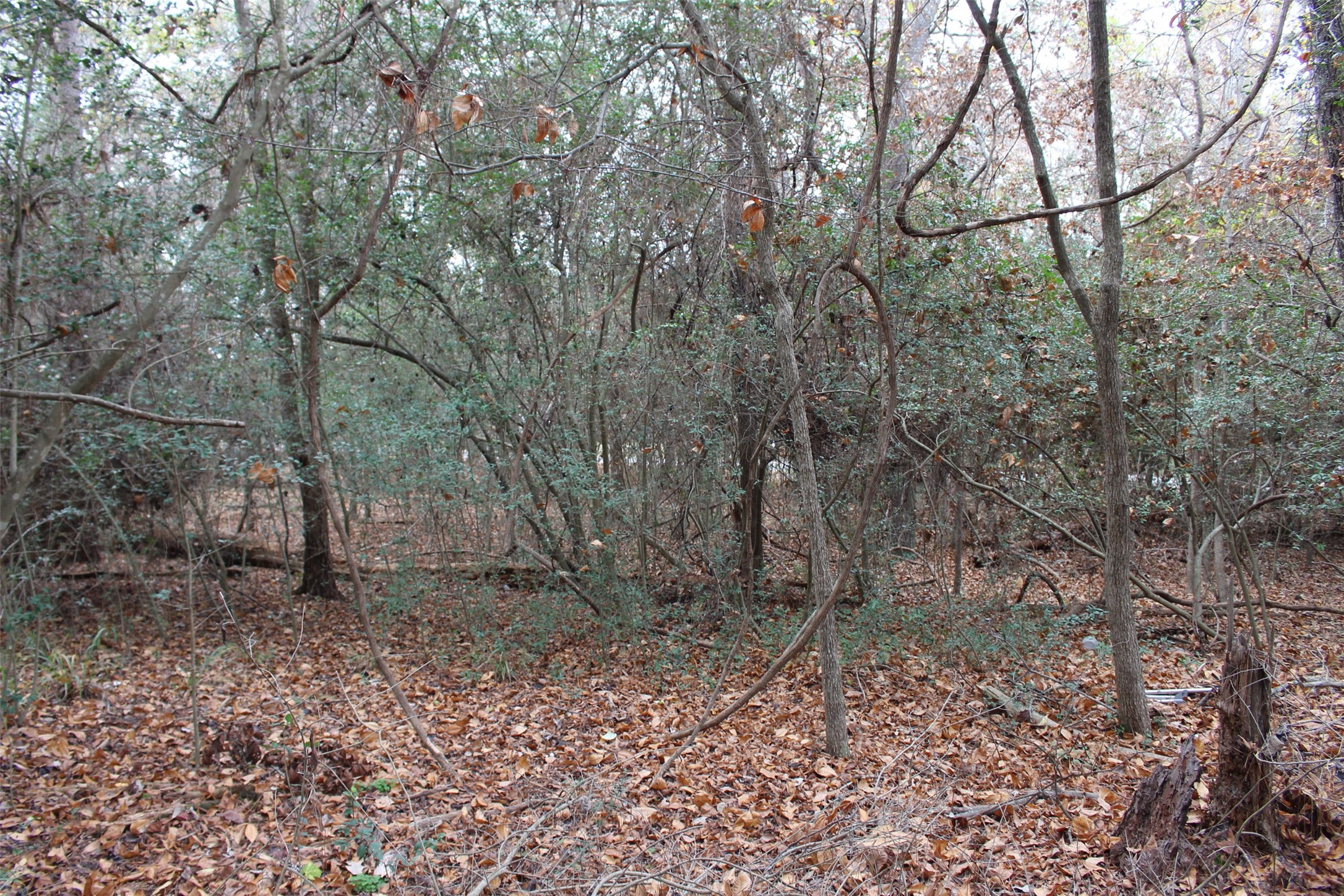 225 Dailey Road Property Photo 2