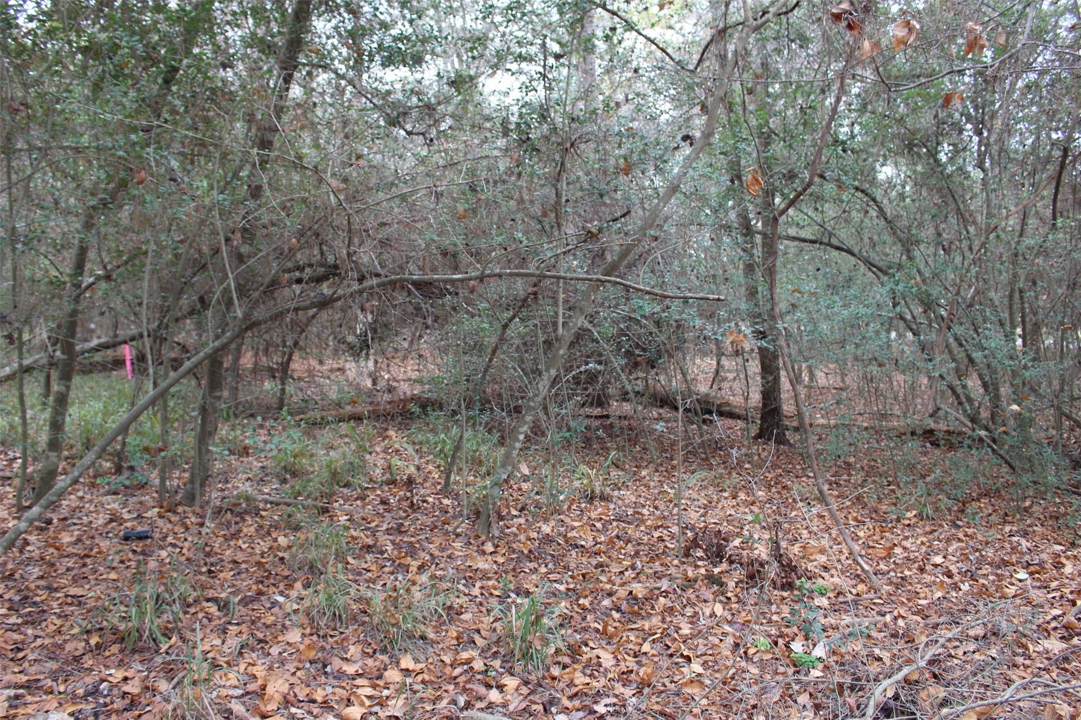 225 Dailey Road Property Photo 3
