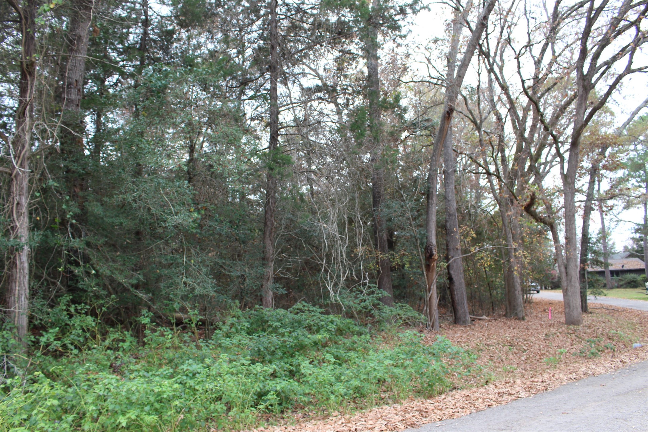 225 Dailey Road Property Photo 4