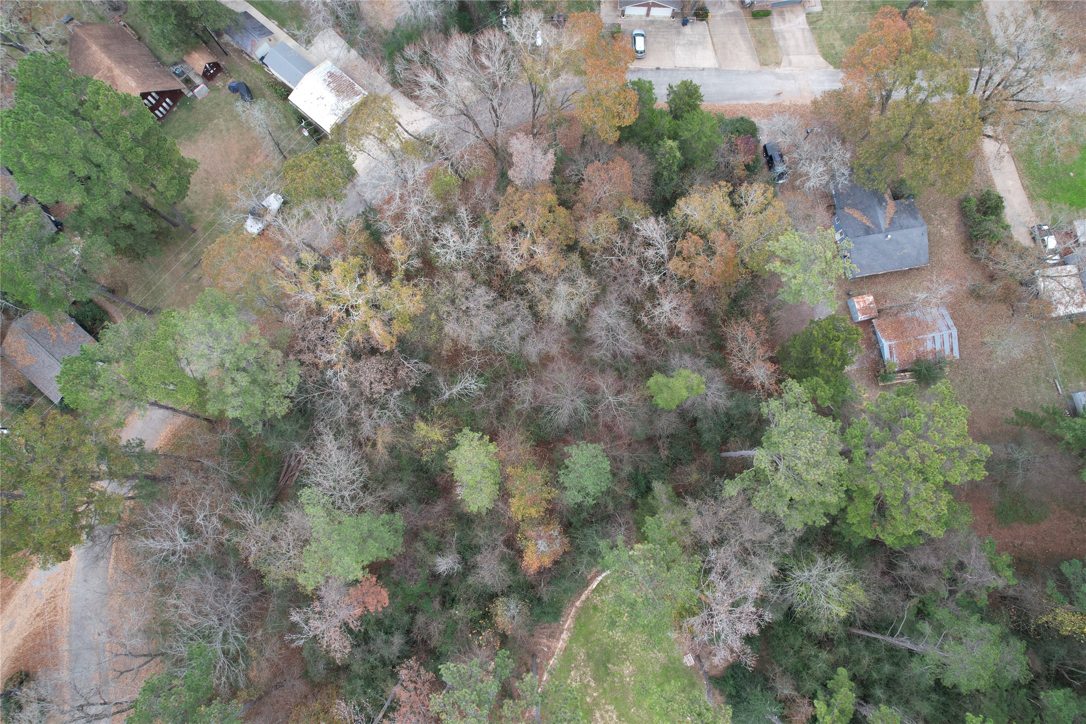 225 Dailey Road Property Photo 9