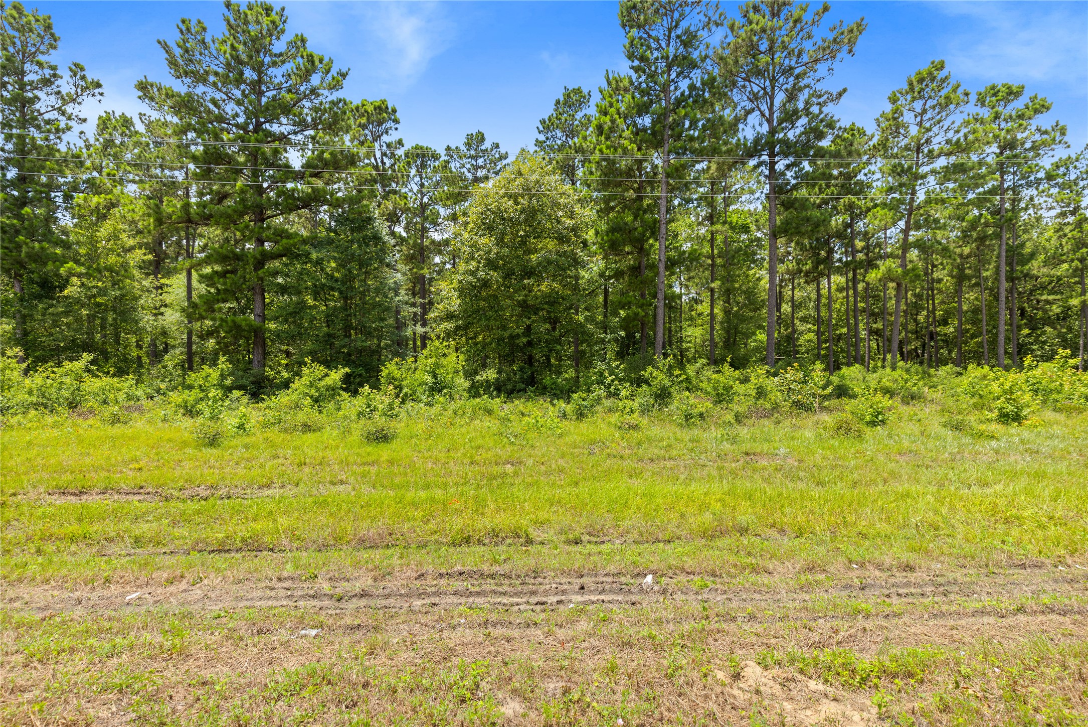 00 Fm 230 Property Photo 5