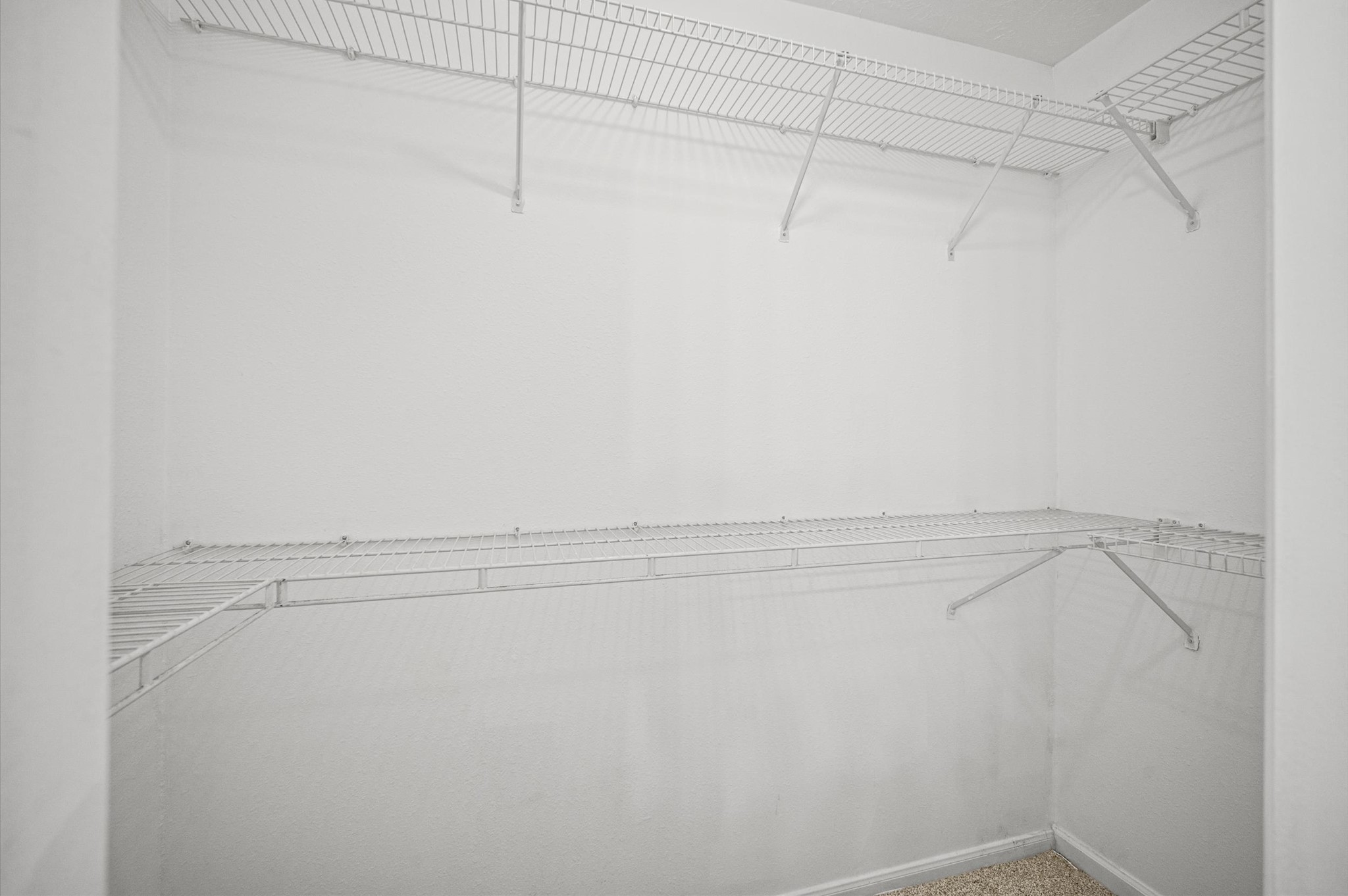 26115 Cypresswood Drive Property Photo 23