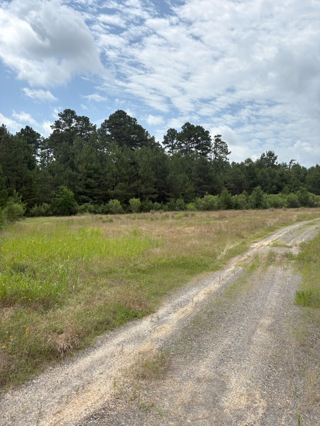 Tbd County Road 425 Property Photo 1