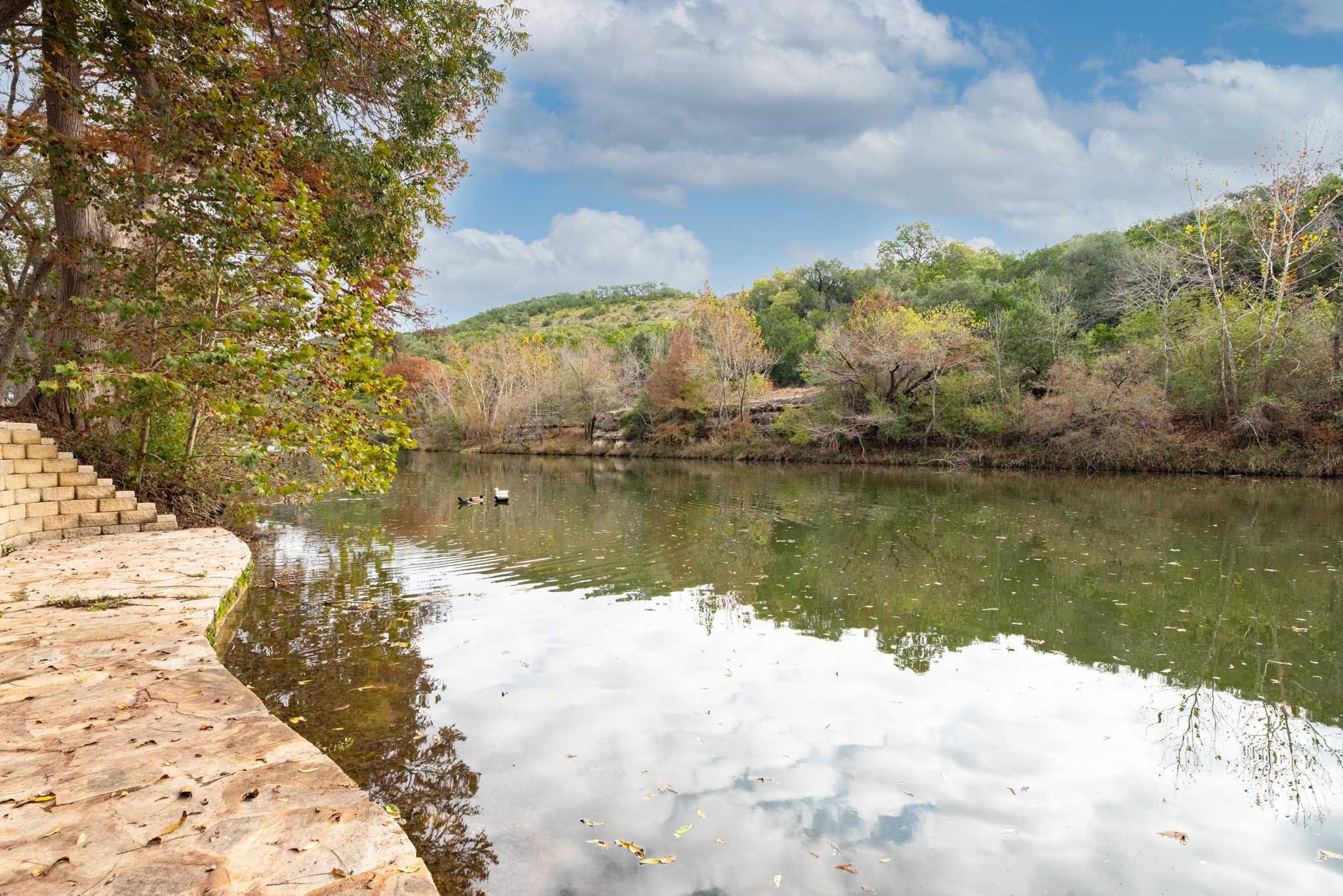 14524 Randy Lane Property Photo 7