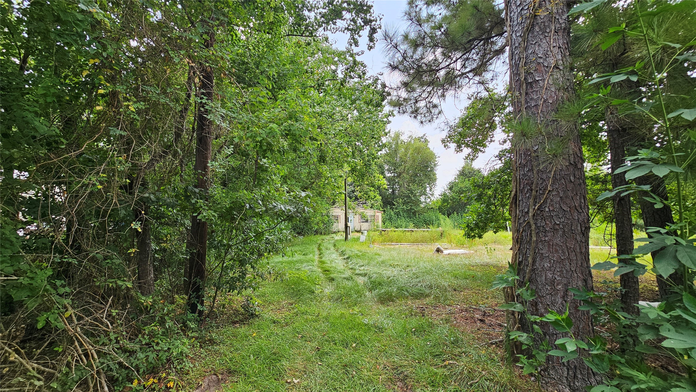 23891 Stanart Road