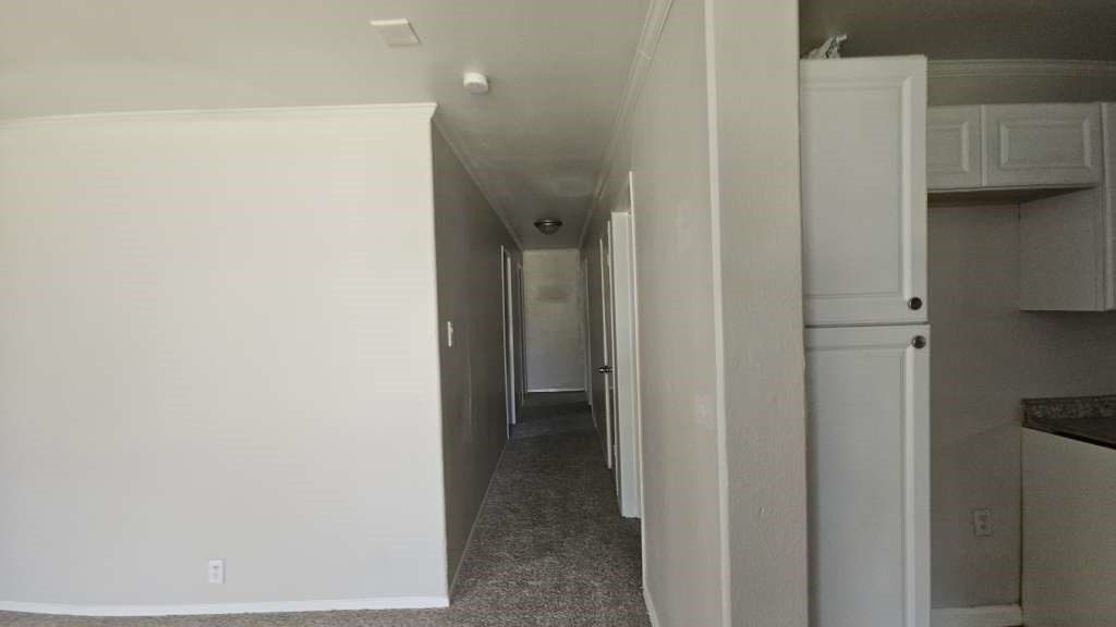 11942 Greensbrook Forest Drive Property Photo 4