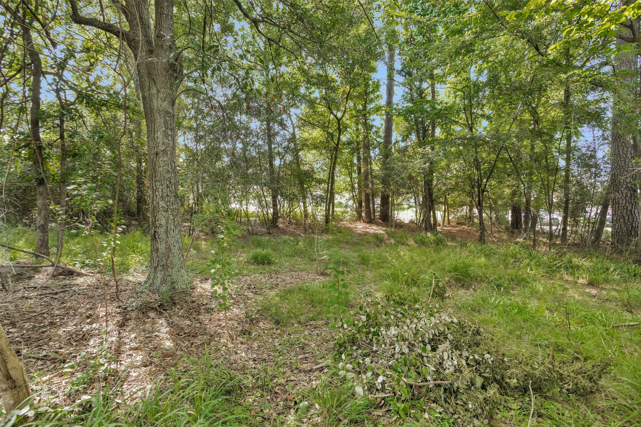 11710 Willowrun Drive Property Photo 50