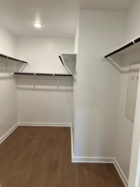 32523 Midsummer Drive Property Photo 20