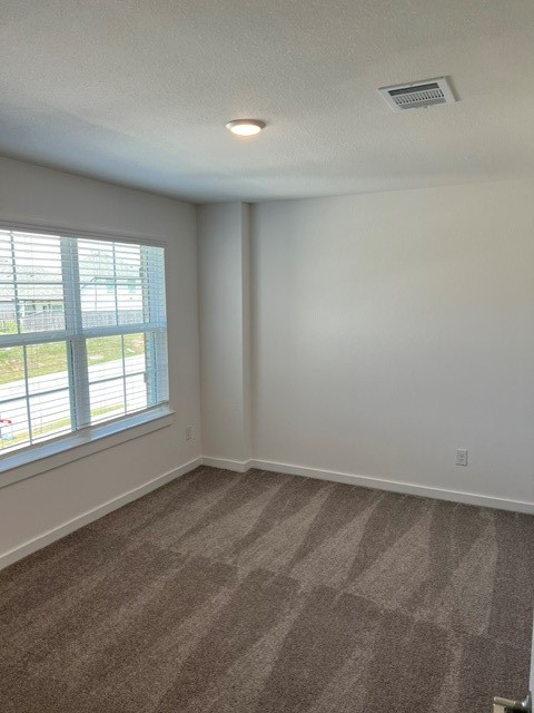 32523 Midsummer Drive Property Photo 33