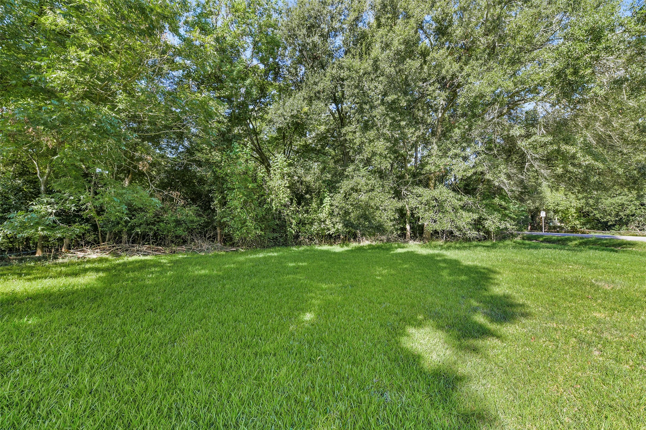 0 Lila Street Street Property Photo 13