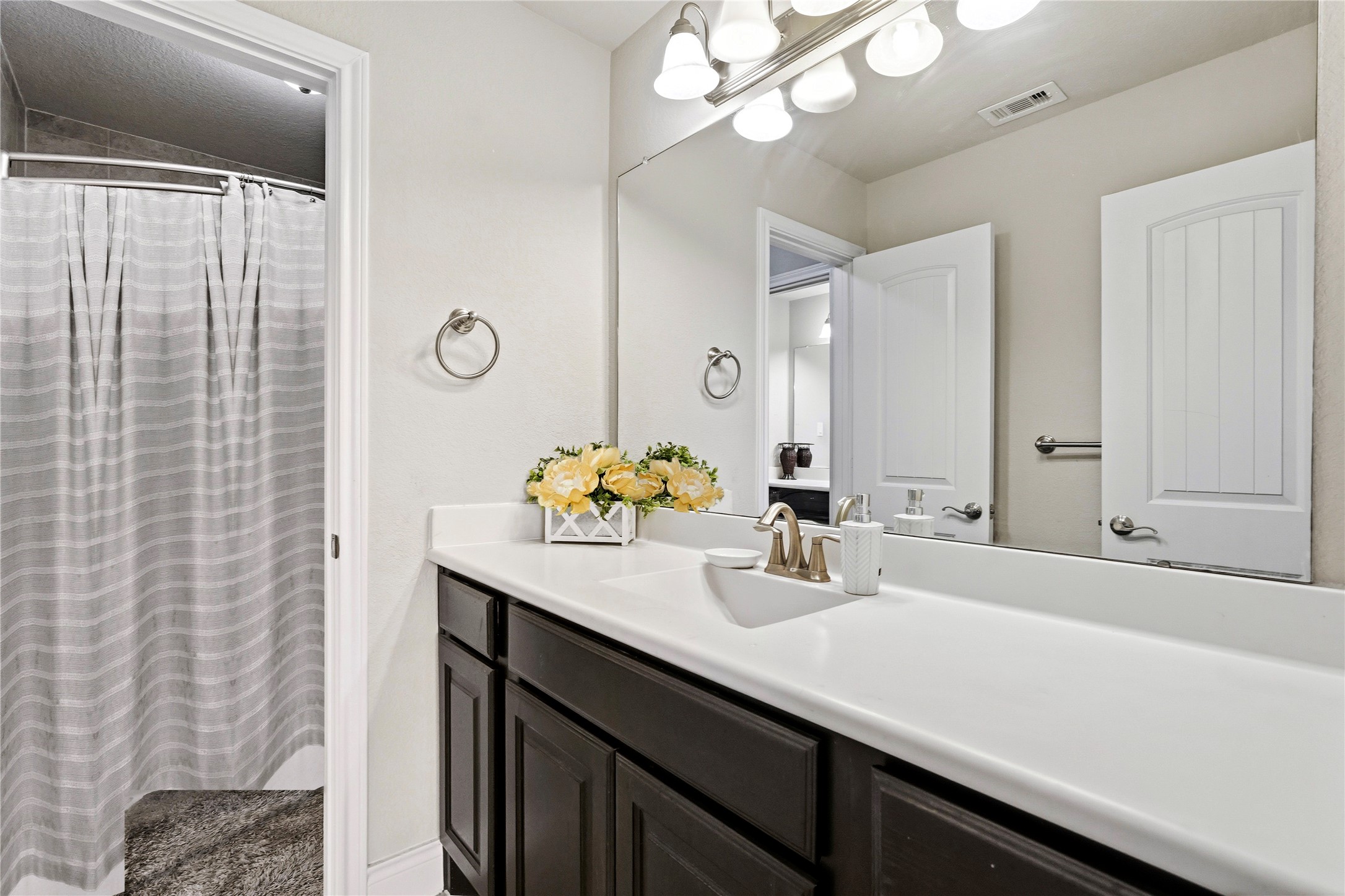 10311 Silver Shield Way Property Photo 19