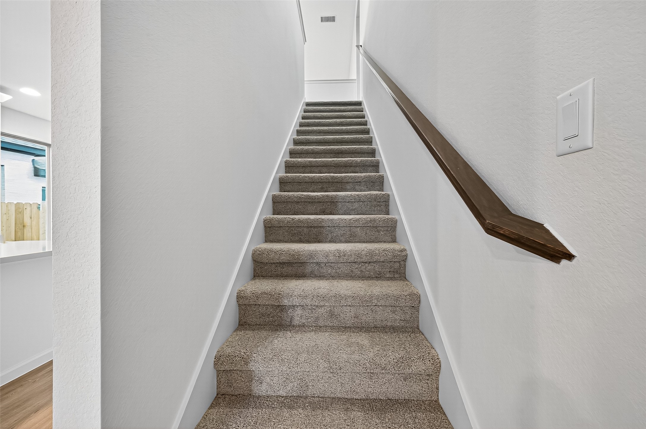 5019 Bowen Prairie Drive Property Photo 22