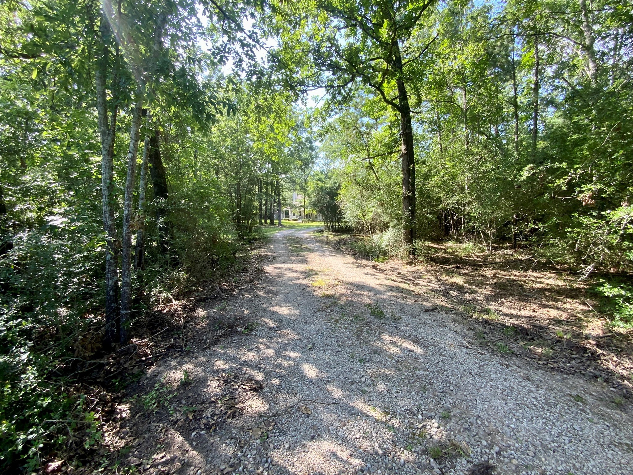 387 Hackberry Dr Property Photo 5