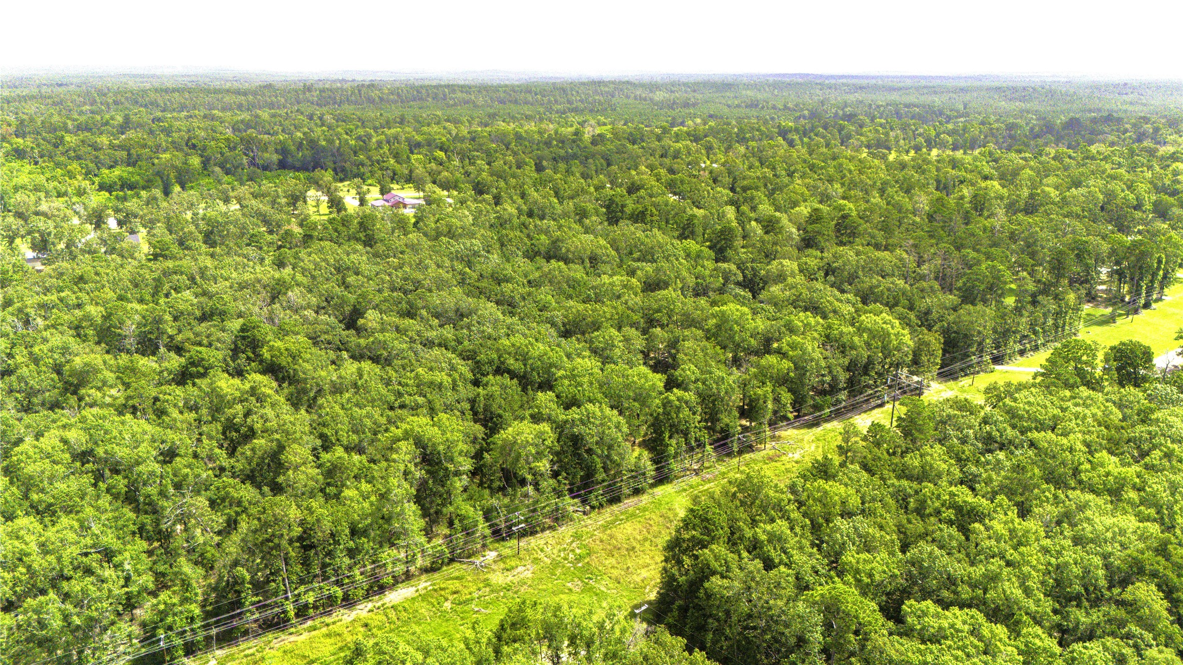 387 Hackberry Dr Property Photo 33