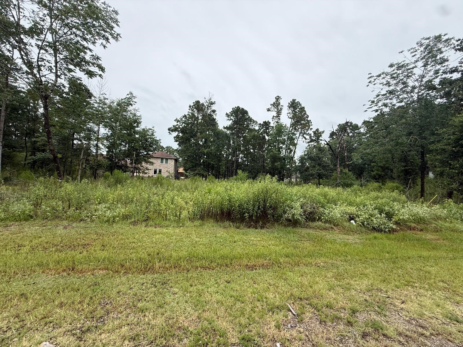68 Forest Hollow, Property Photo 8