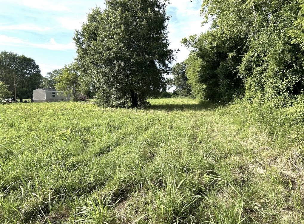 Tbd Mattie Moore Property Photo 4
