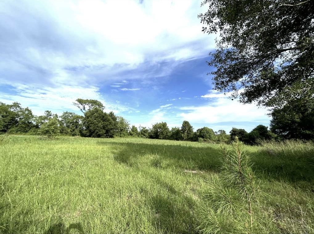 Tbd Mattie Moore Property Photo 5