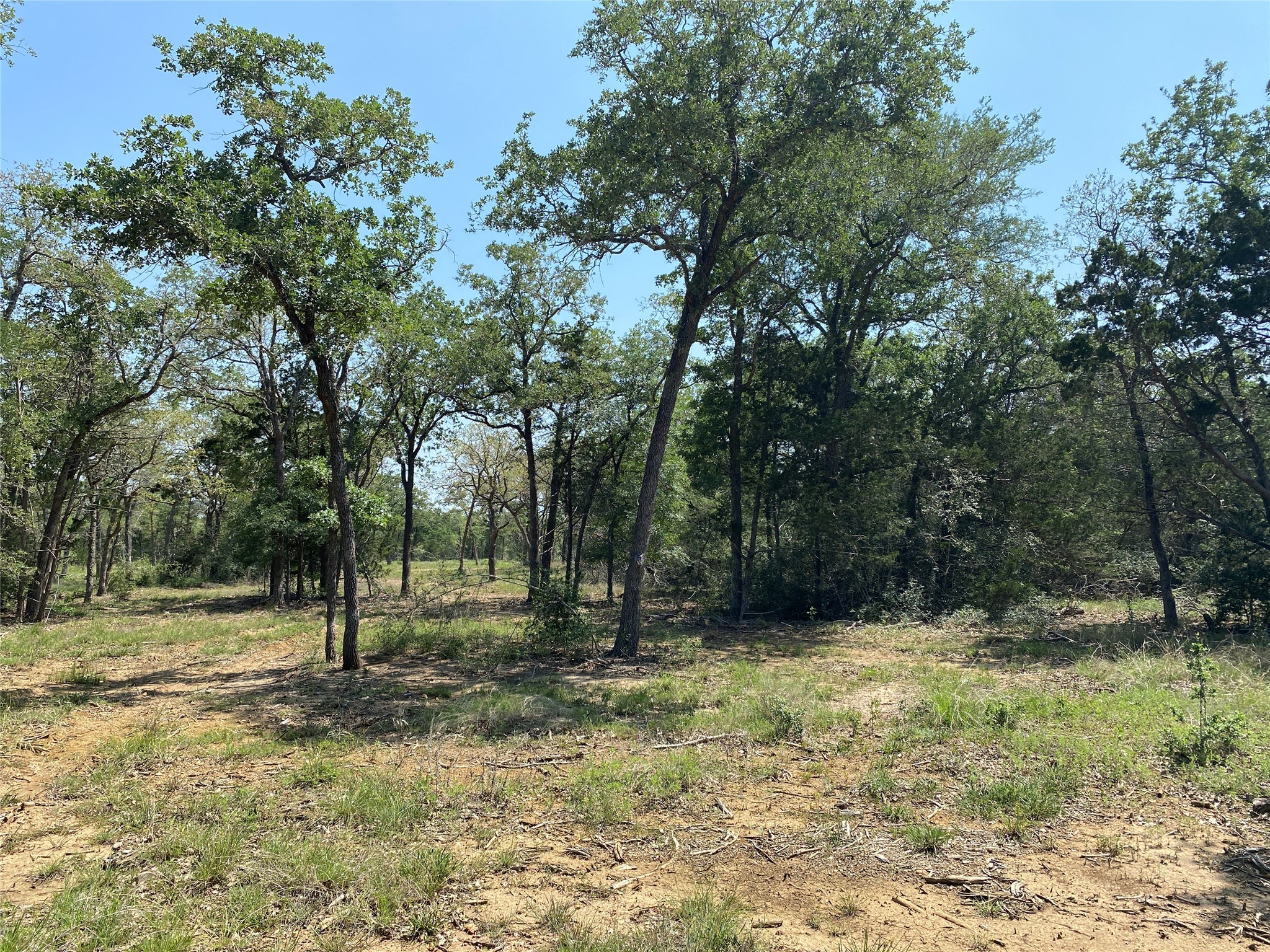 Tbd High Crossing Road - Tract 7 Property Photo 1