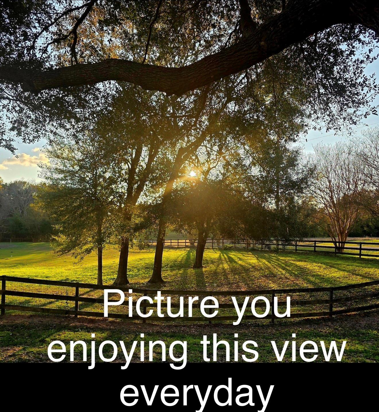 211 Brazos Hill Lane, Sealy Tx 77474 Property Photo 48