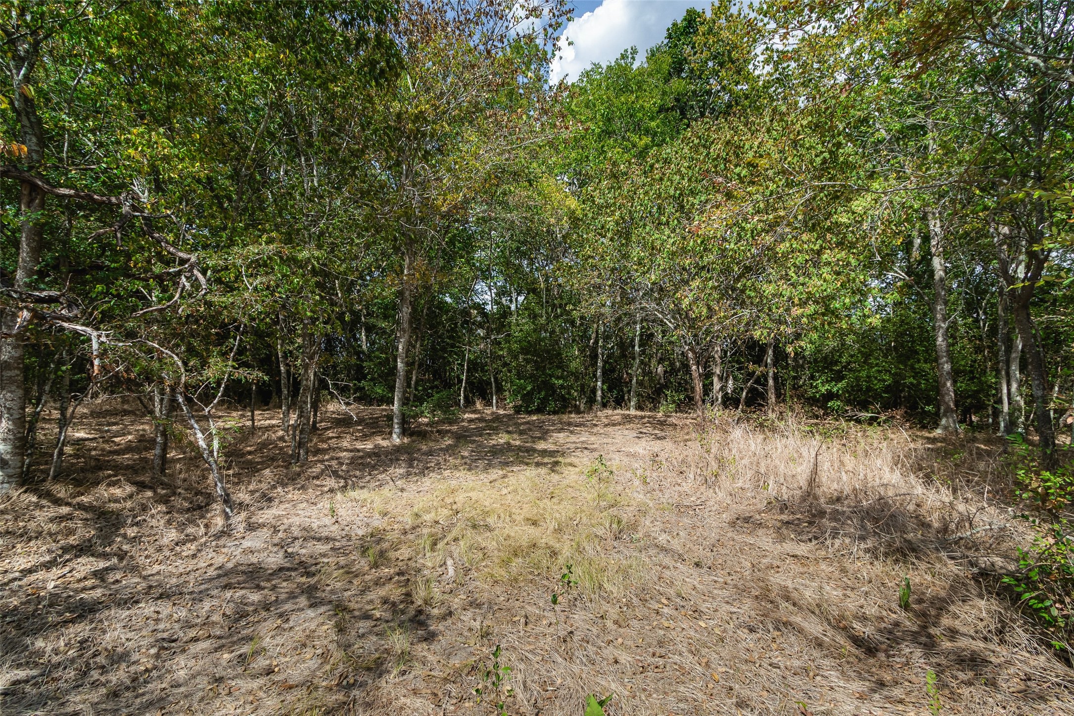 21113 Harrison Drive Property Photo 33