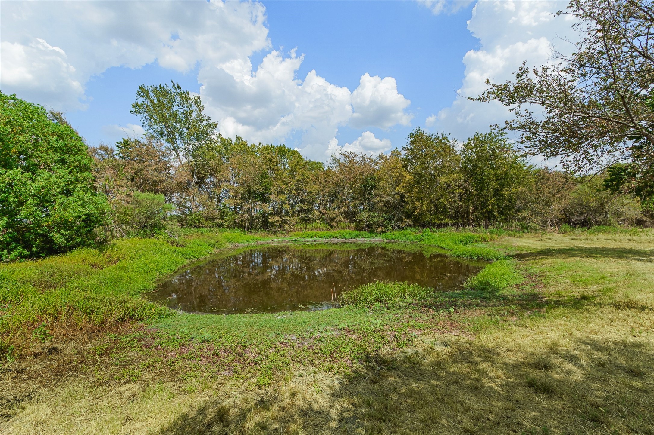 21113 Harrison Drive Property Photo 34