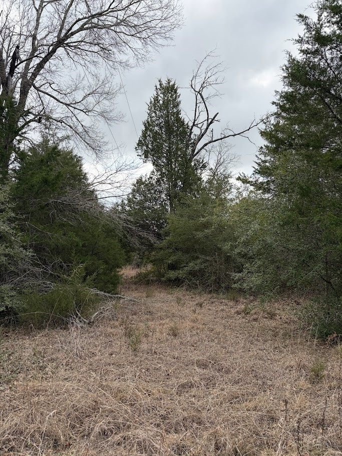 0000 County Road 506 Property Photo 7