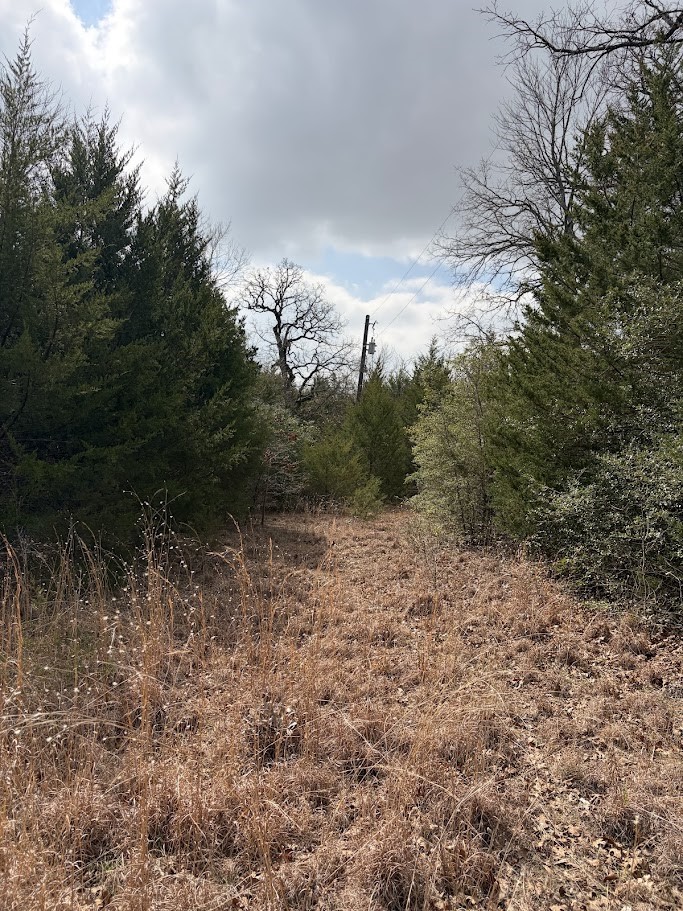0000 County Road 506 Property Photo 8