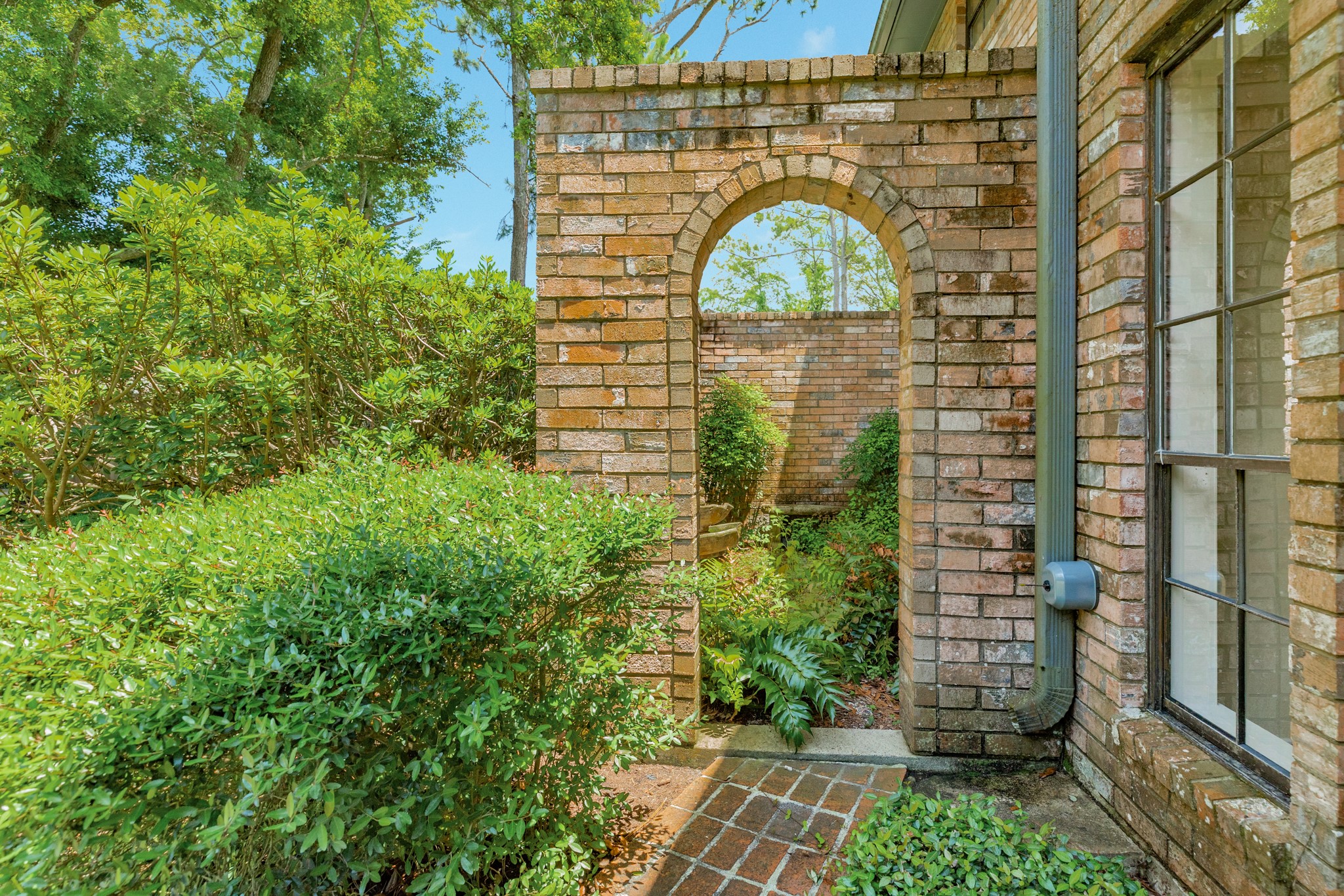 110 Sequoia Property Photo 40