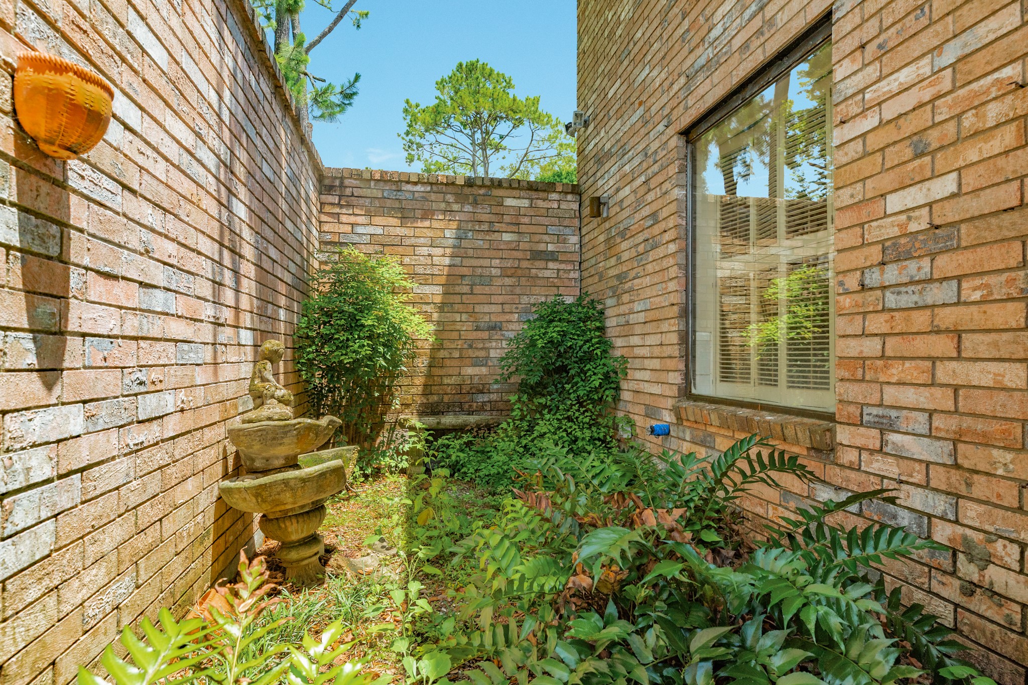 110 Sequoia Property Photo 41