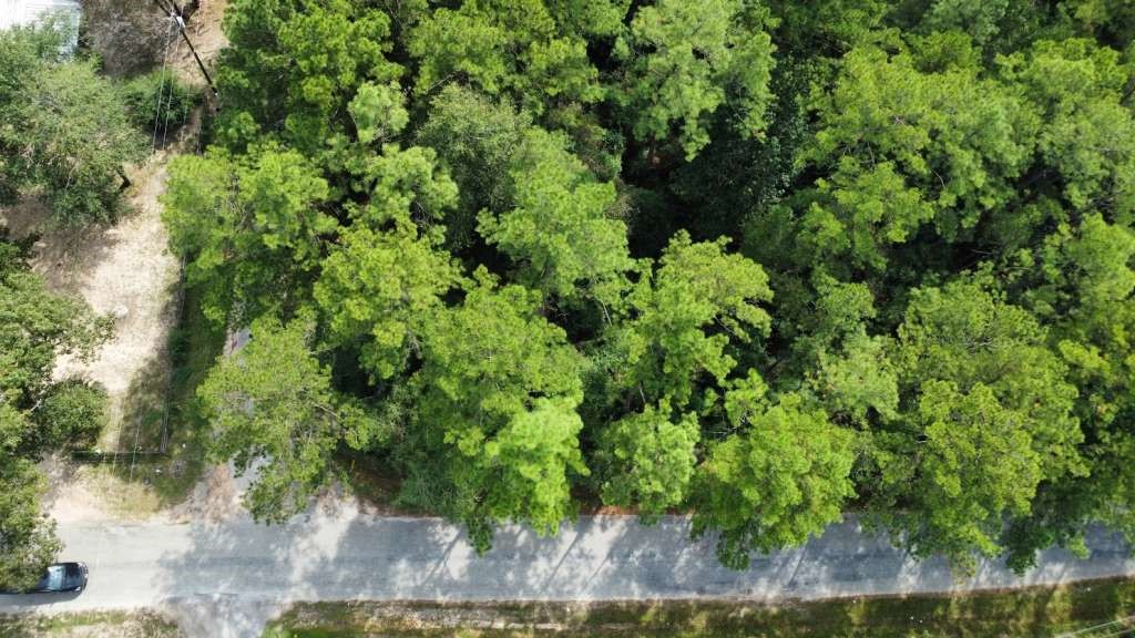 Lot 336 Powdrill Property Photo 1