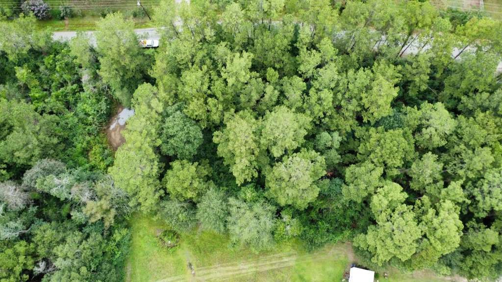 Lot 336 Powdrill Property Photo 3
