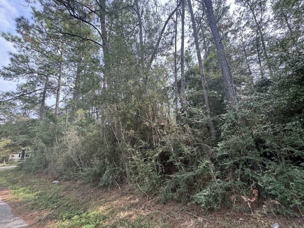 Lot 336 Powdrill Property Photo 4