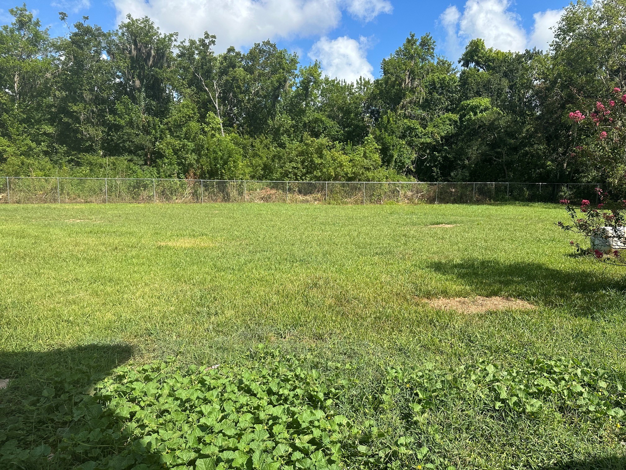 2708 County Road 686 Property Photo 11