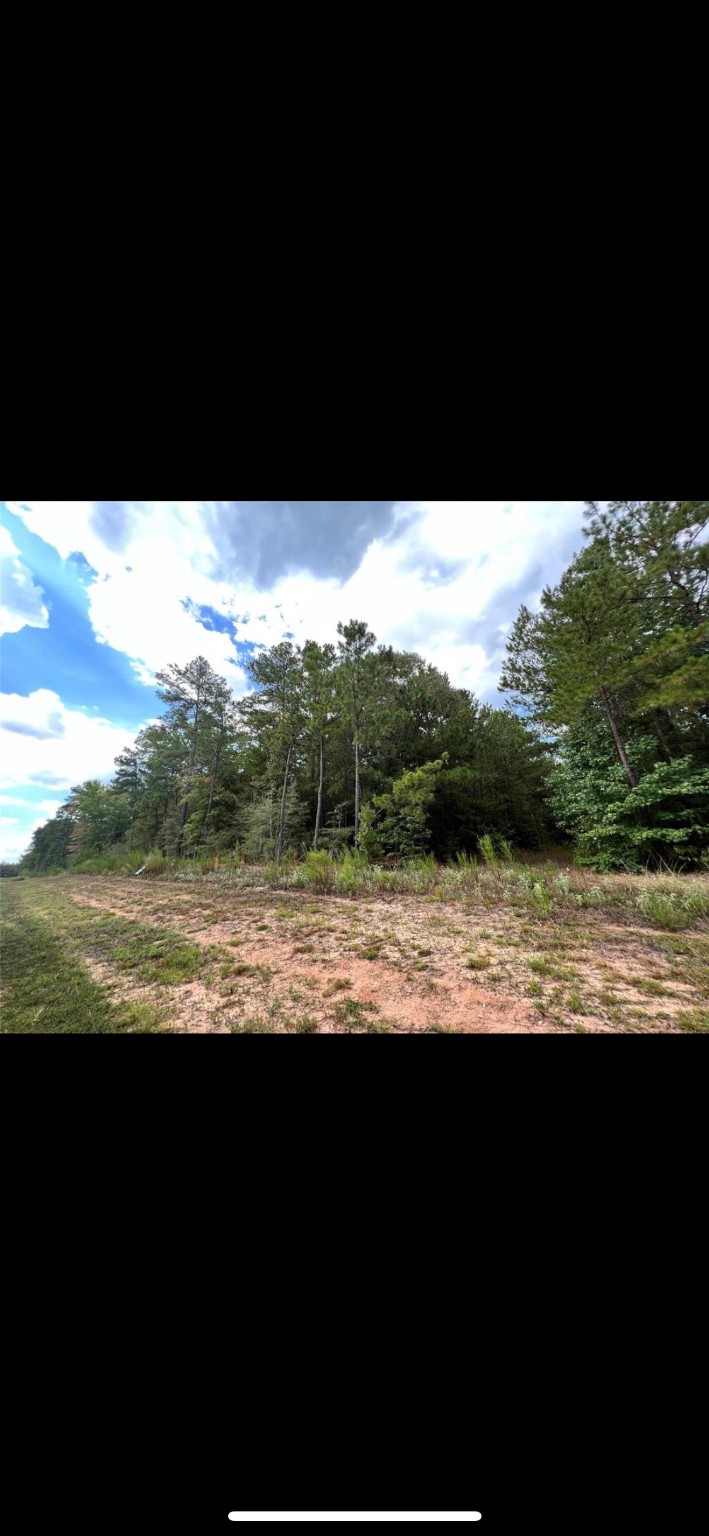 Tbd Dedication Trail Property Photo 16