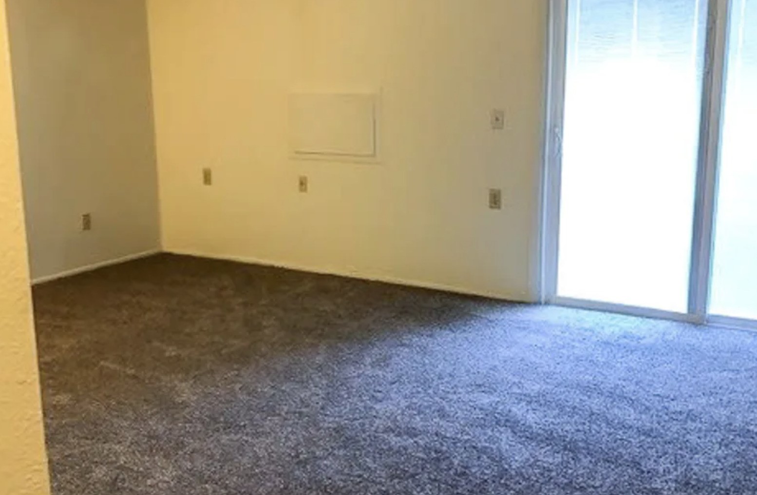 100 W Mill Pond Property Photo 3