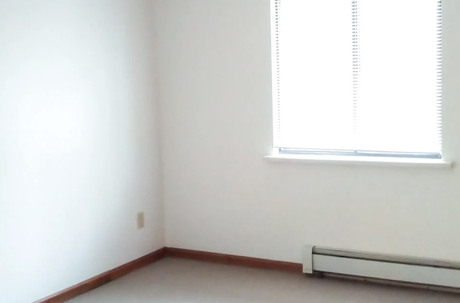 100 W Mill Pond Property Photo 6