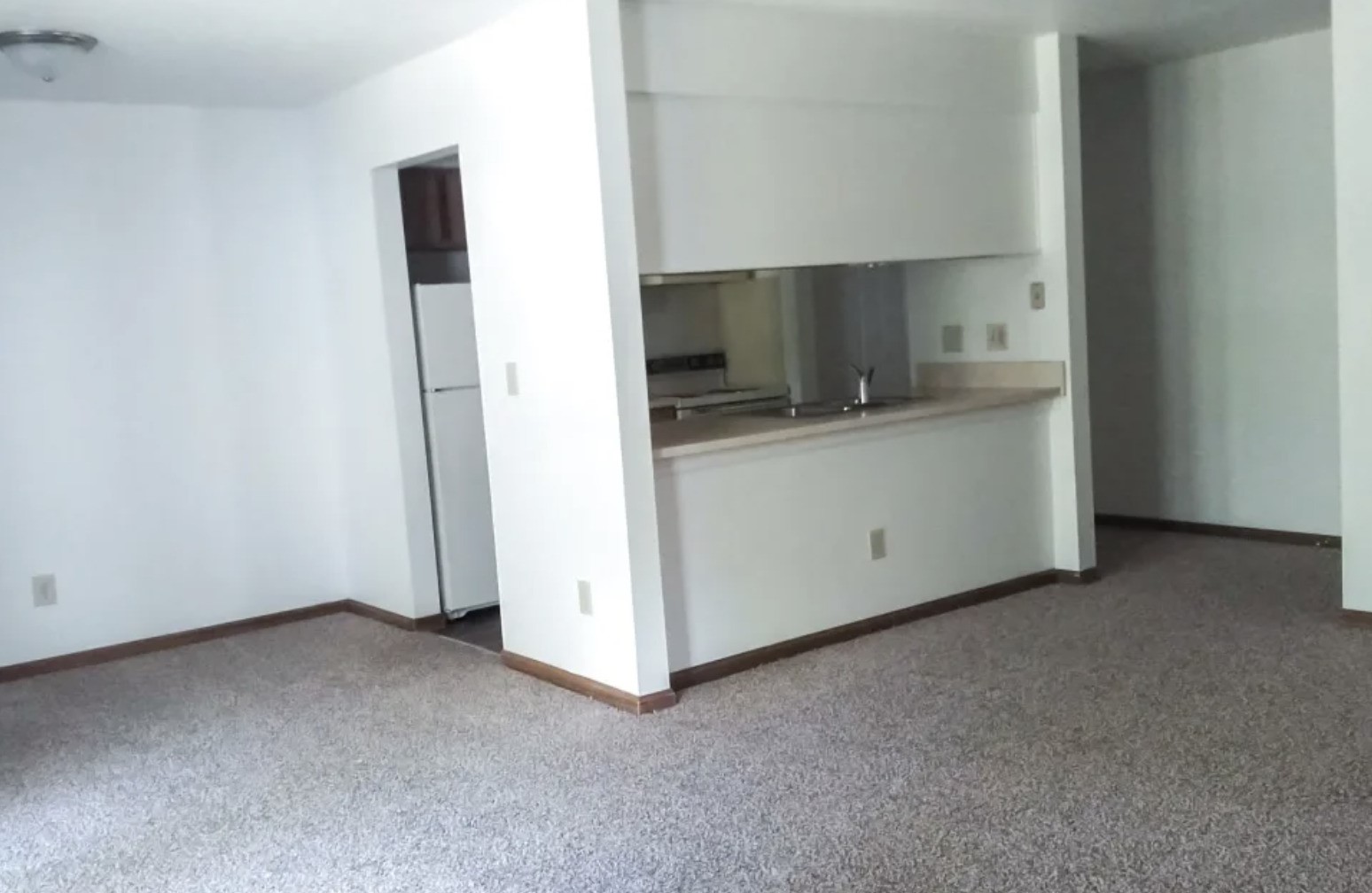 100 W Mill Pond Property Photo 7